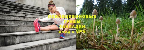 каннабис Абаза