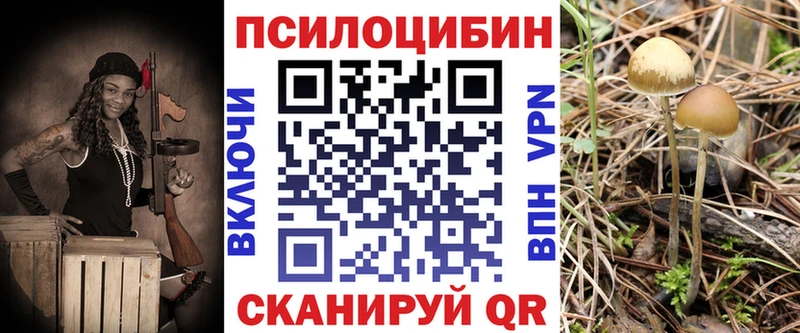 Галлюциногенные грибы Psilocybe Покачи